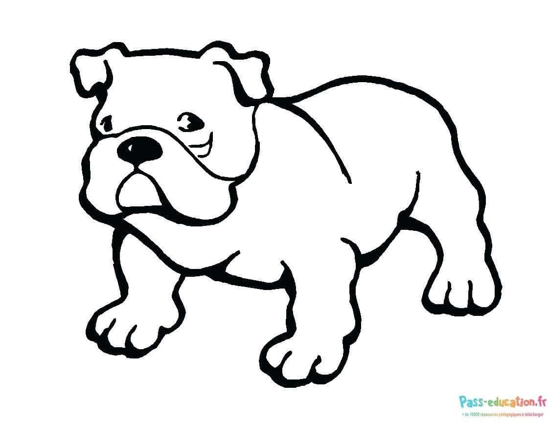 Coloriage Chien bulldog à imprimer et colorier