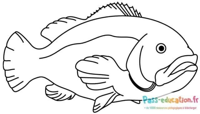 Coloriage Poisson tropical à imprimer et colorier