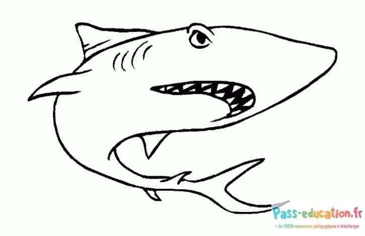Coloriage Requin souriant à imprimer et colorier