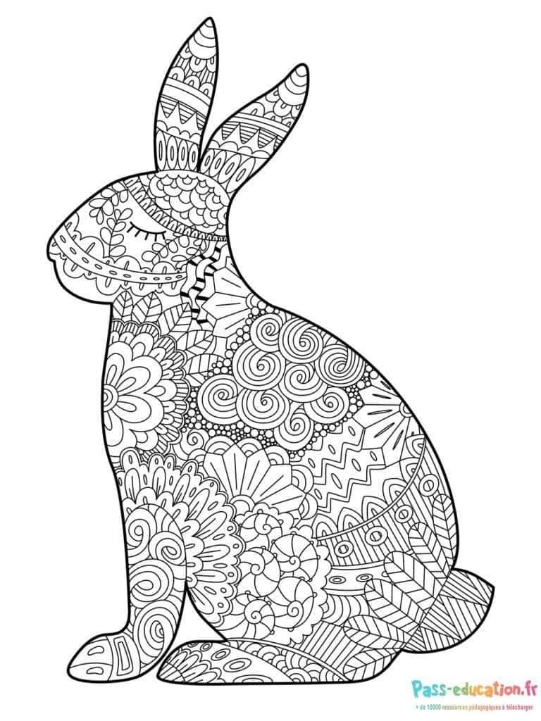 Coloriage Lapin mandala à imprimer et colorier
