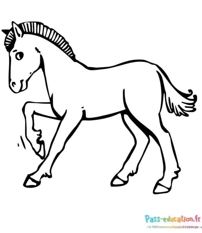 Coloriage Cheval au trot à imprimer et colorier