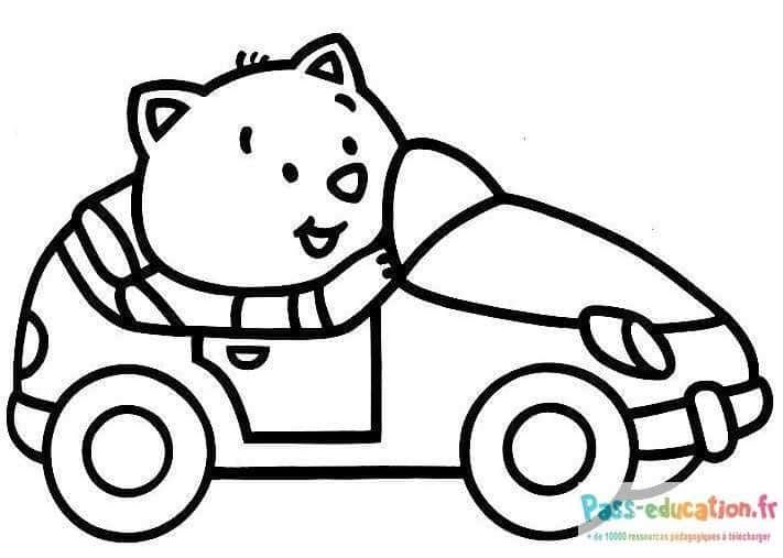Coloriage Chat conducteur à imprimer et colorier