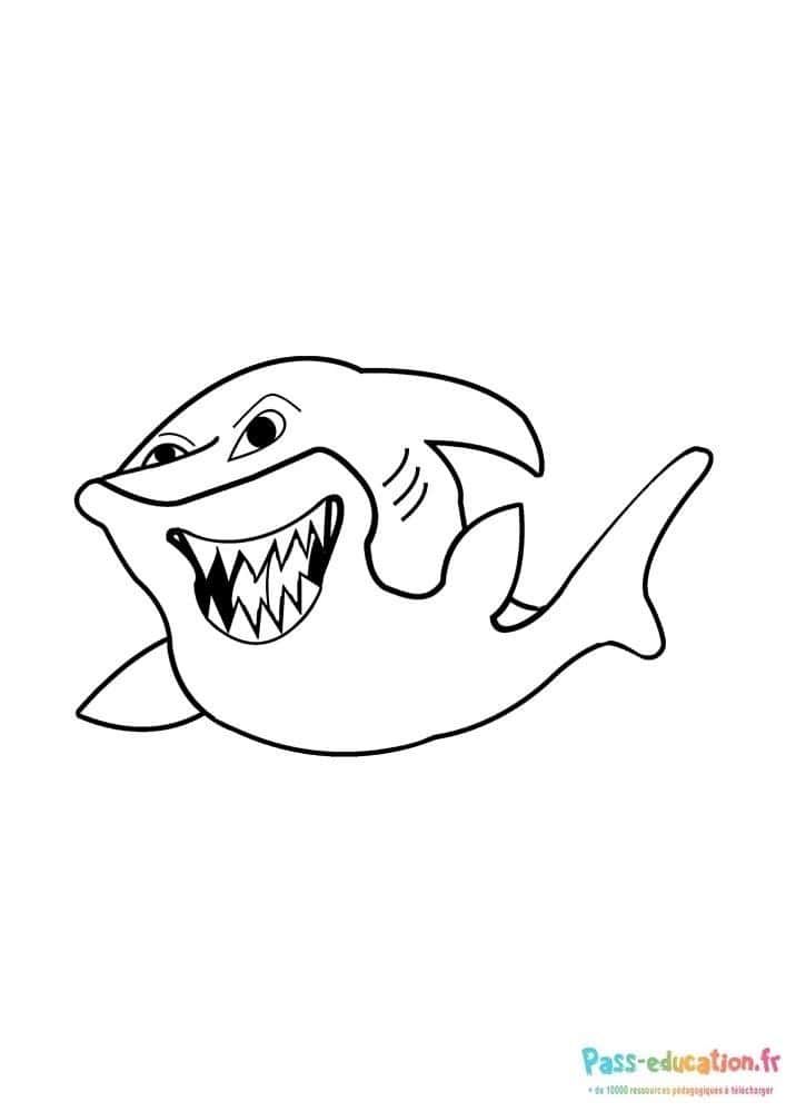Coloriage Requin souriant à imprimer et colorier