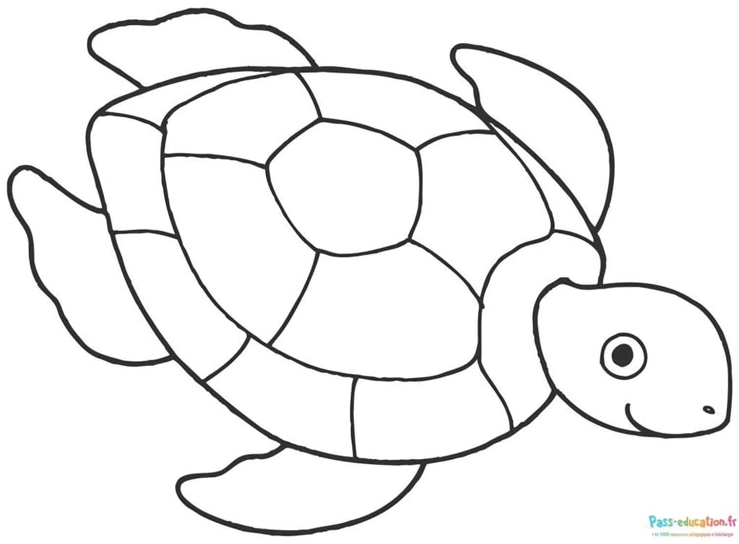 Coloriage Tortue souriante à imprimer et colorier