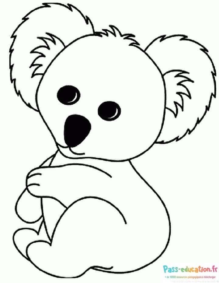 Coloriage Koala câlin à imprimer et colorier