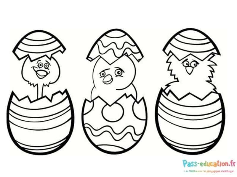 Coloriage Poussins de Pâques à imprimer et colorier