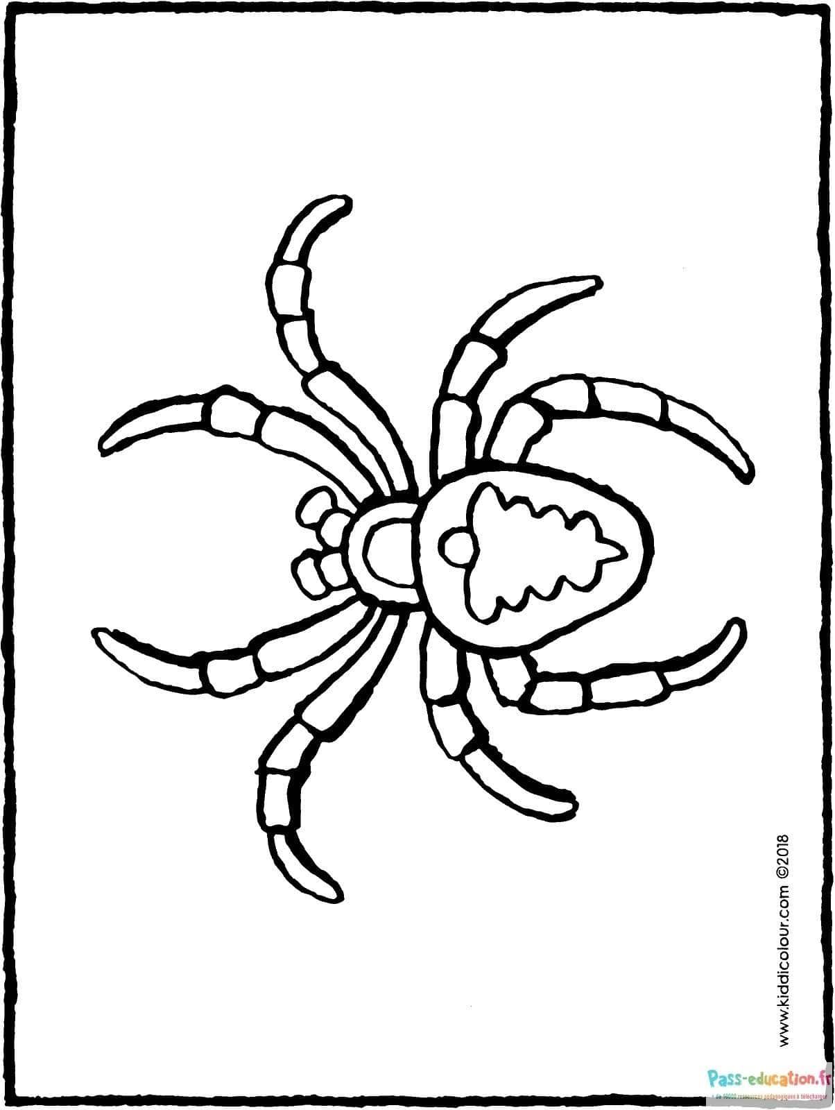 Coloriage Araignée stylisée à imprimer et colorier