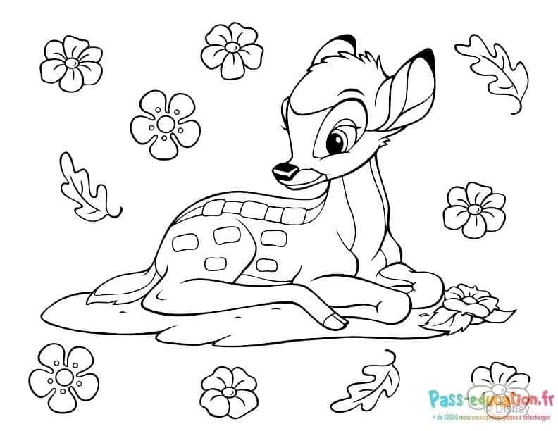 Coloriage Faon avec fleurs à imprimer et colorier