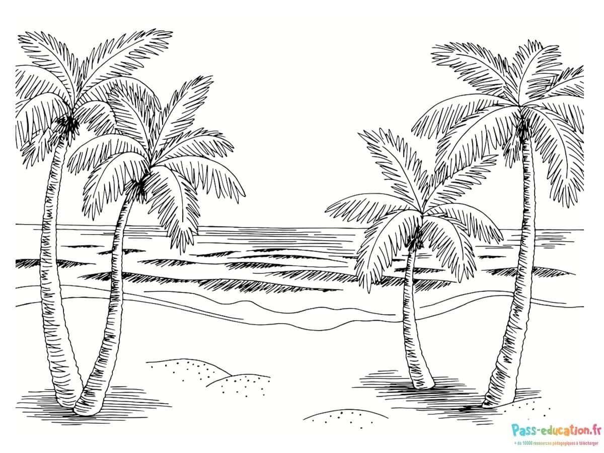 Coloriage Plage tropicale à imprimer et colorier