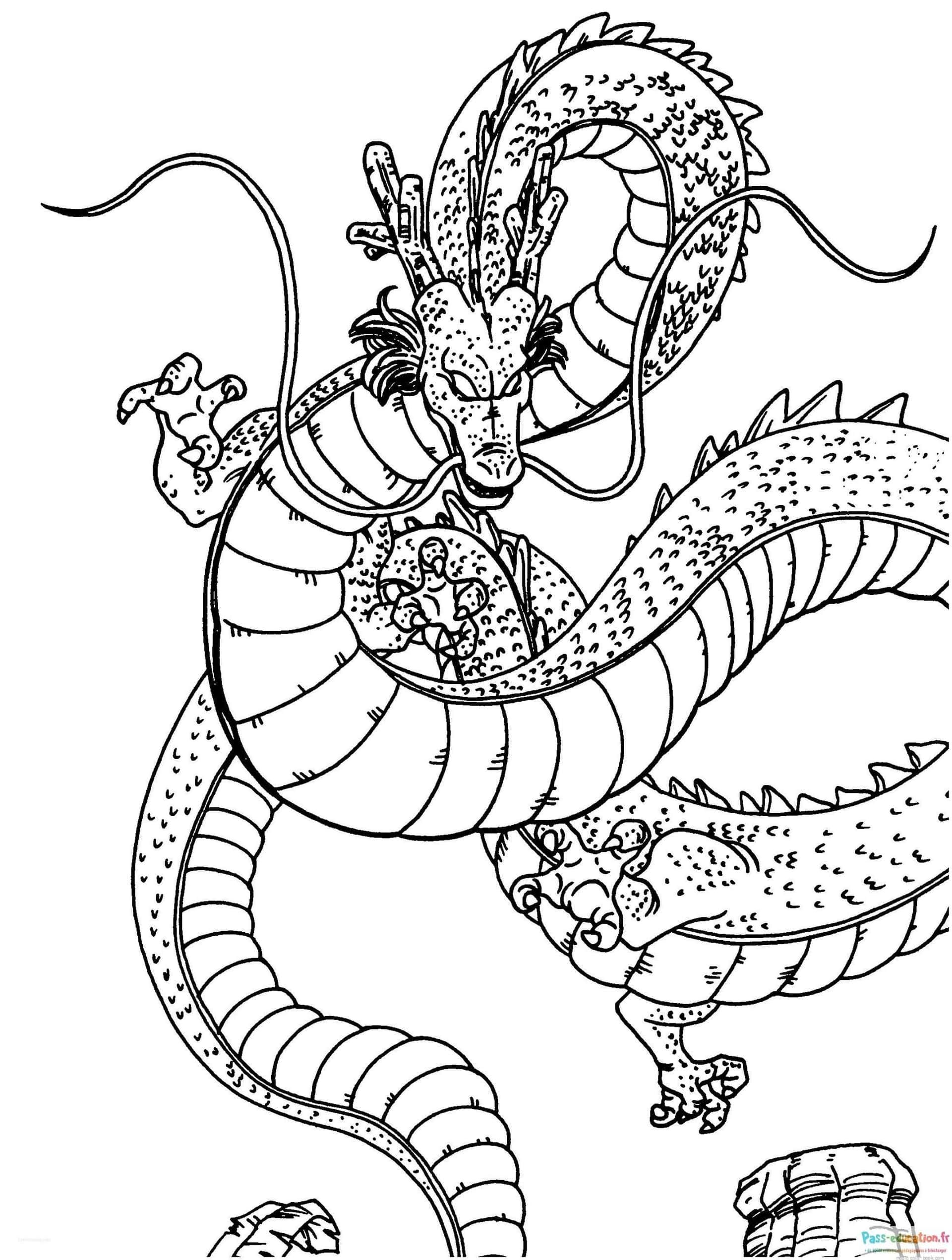 Coloriage Dragon Shenron à imprimer et colorier