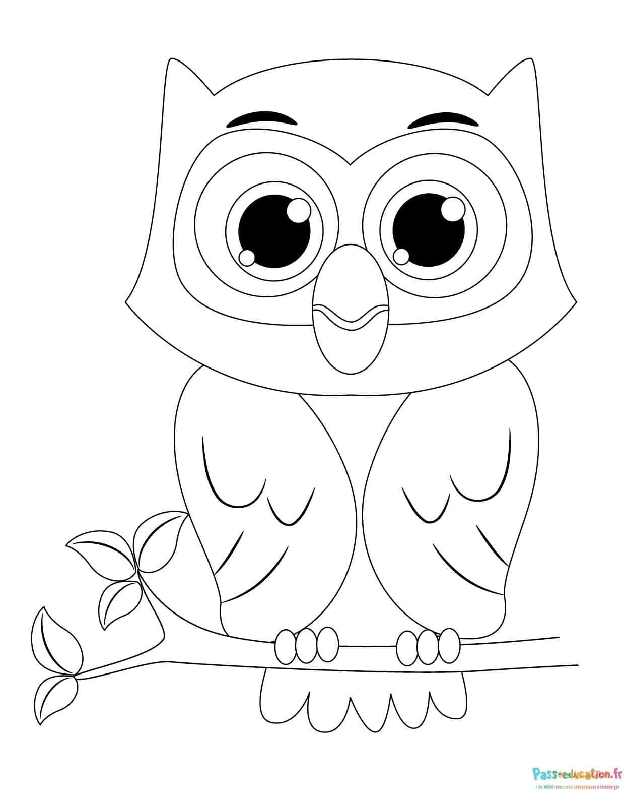 Coloriage Hibou mignon à imprimer et colorier