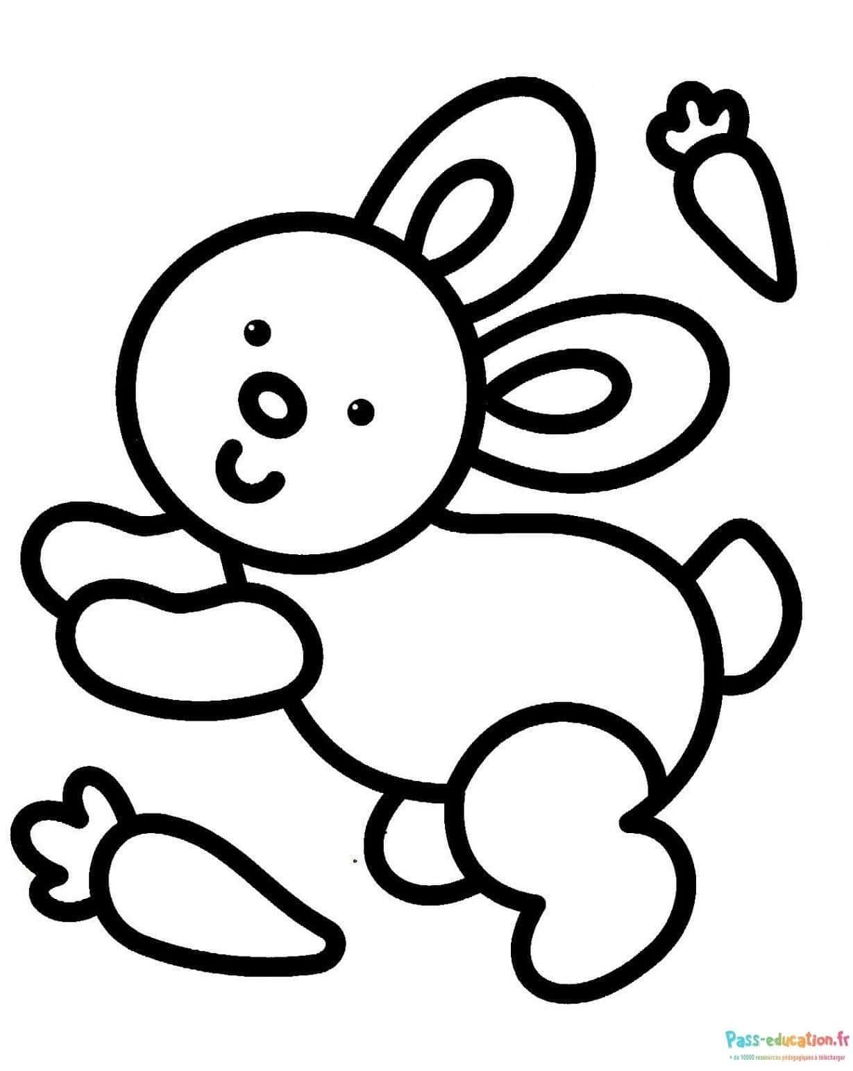 Coloriage Lapin avec carottes à imprimer et colorier