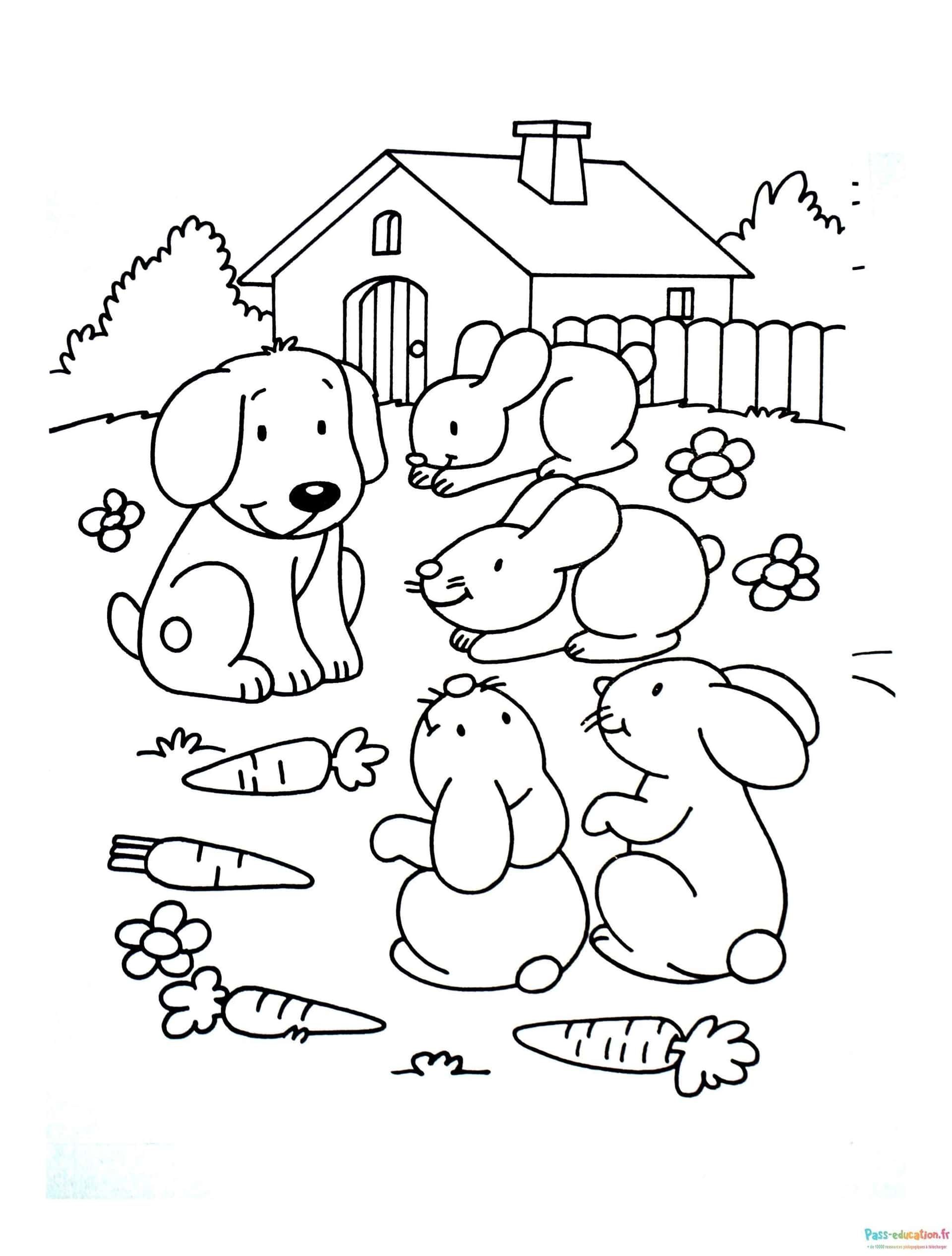 Coloriage Chien et lapins à la ferme à imprimer et colorier
