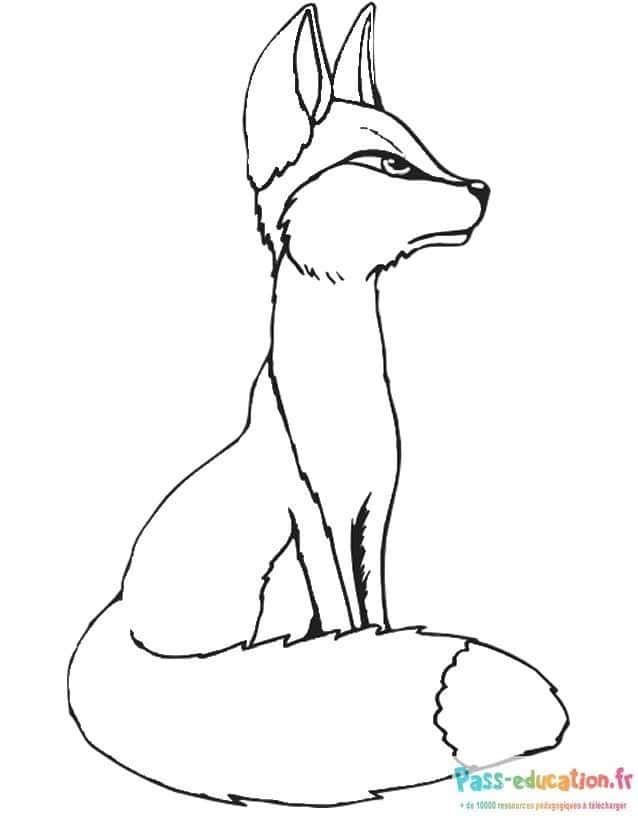 Coloriage Renard attentif à imprimer et colorier