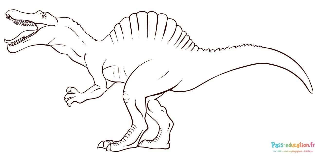 Coloriage Dinosaure Spinosaurus à imprimer et colorier