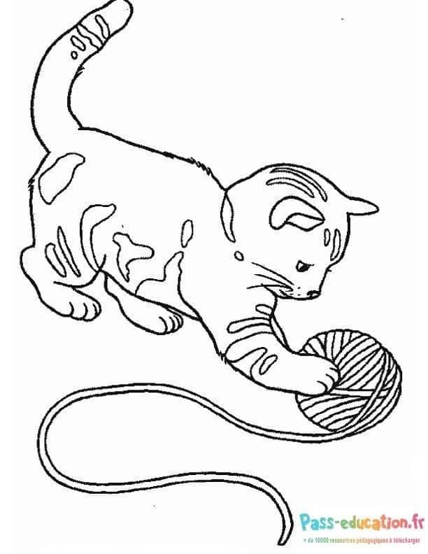 Coloriage Chat joue avec pelote à imprimer et colorier
