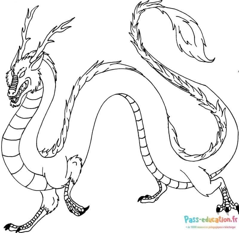Coloriage Dragon majestueux à imprimer et colorier