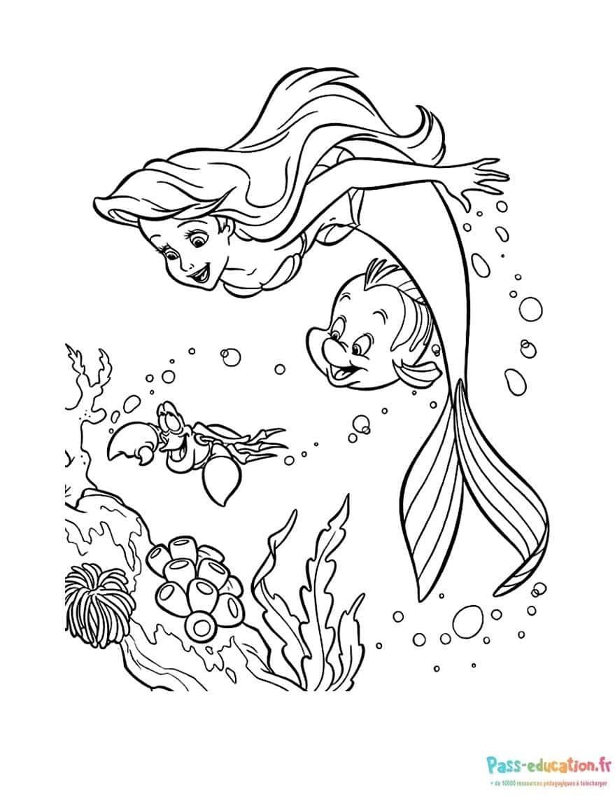 Coloriage Ariel et Polochon à imprimer et colorier