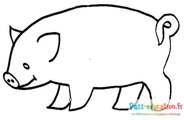 Coloriage Dessin cochon à imprimer et colorier