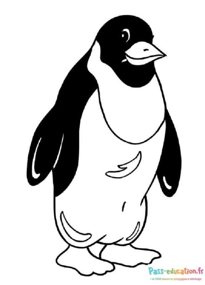 Coloriage Pingouin souriant à imprimer et colorier