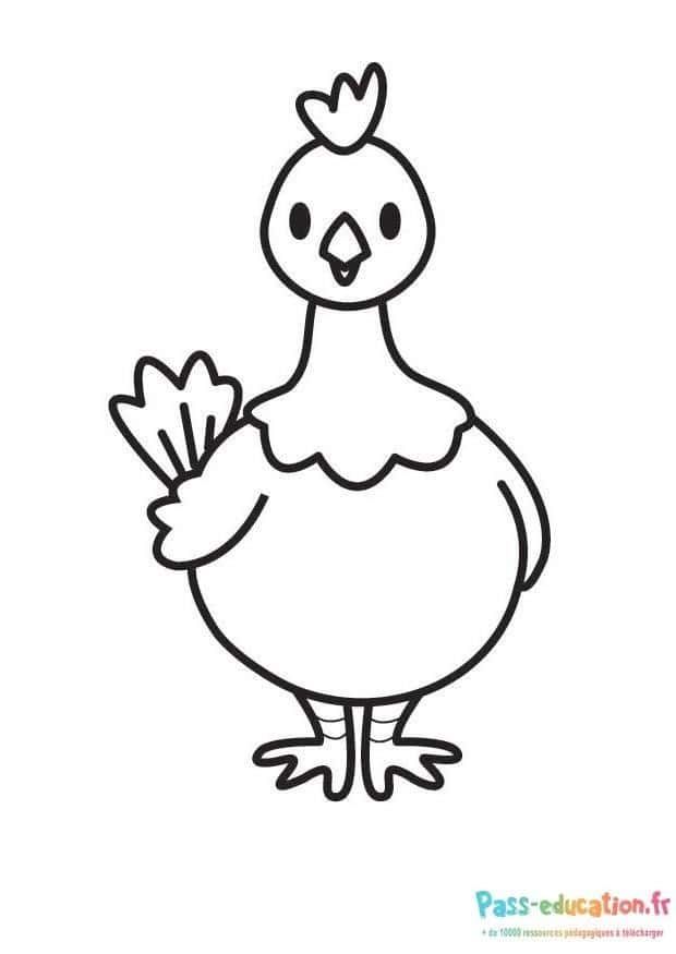 Coloriage Poule dessinée à imprimer et colorier