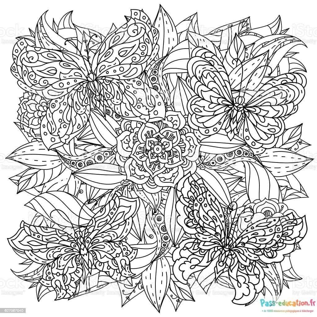 Coloriage Jardin de fleurs à imprimer et colorier