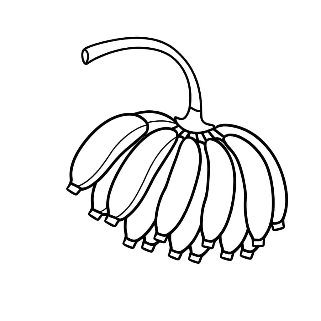 Coloriage Grappes de bananes à imprimer et colorier
