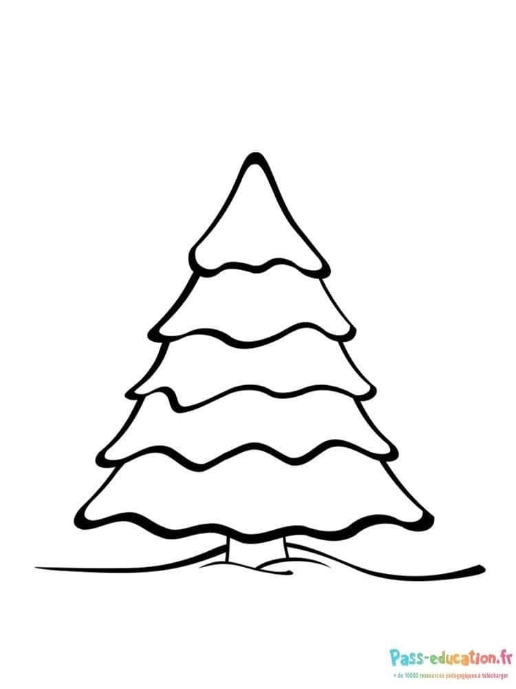 Coloriage Sapin simple à imprimer et colorier