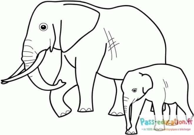 Coloriage Éléphants en famille à imprimer et colorier