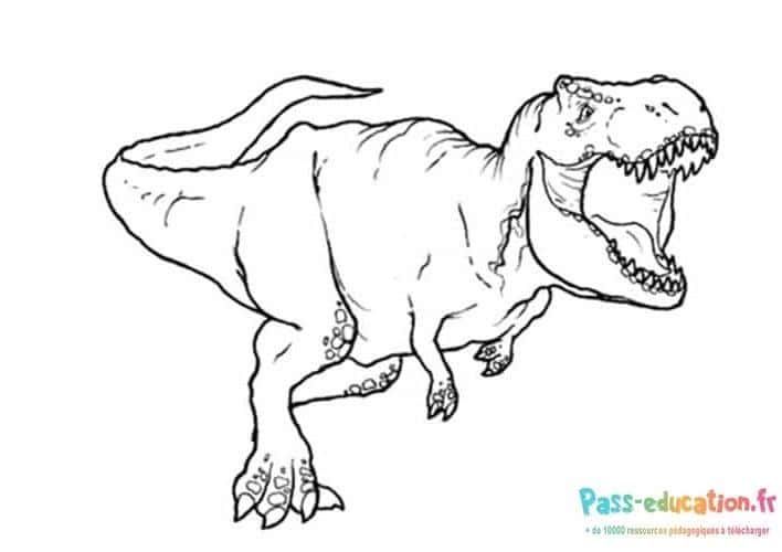 Coloriage T-Rex prêt à rugir à imprimer et colorier