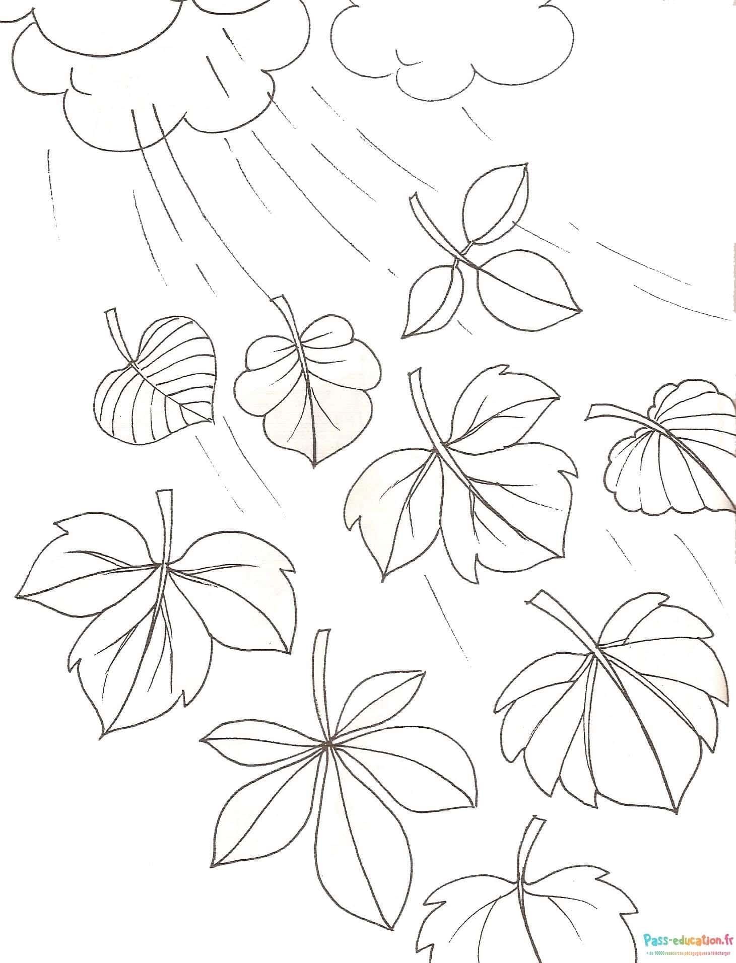 Coloriage Feuilles d'automne à imprimer et colorier