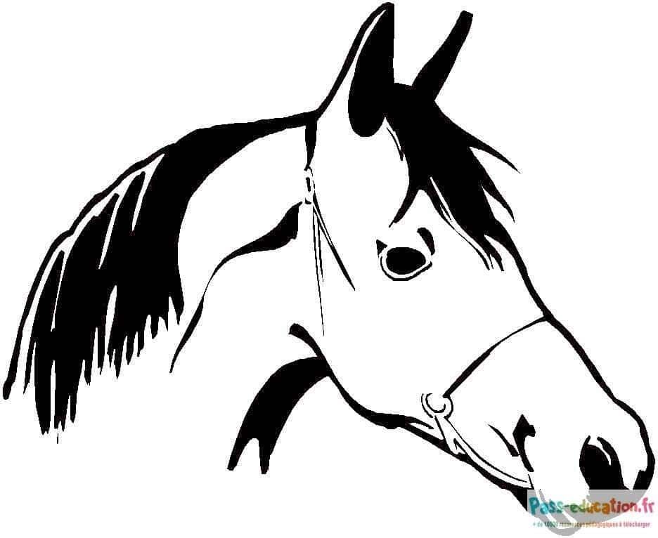 Coloriage Dessin de cheval à imprimer et colorier