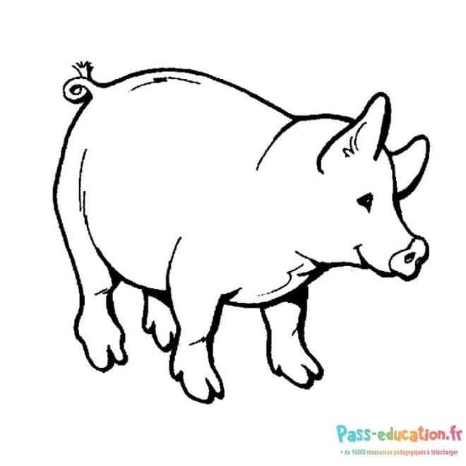 Coloriage Porc en marche à imprimer et colorier