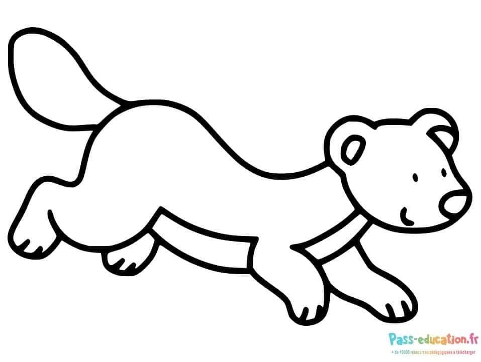 Coloriage Dessin ours marchant à imprimer et colorier