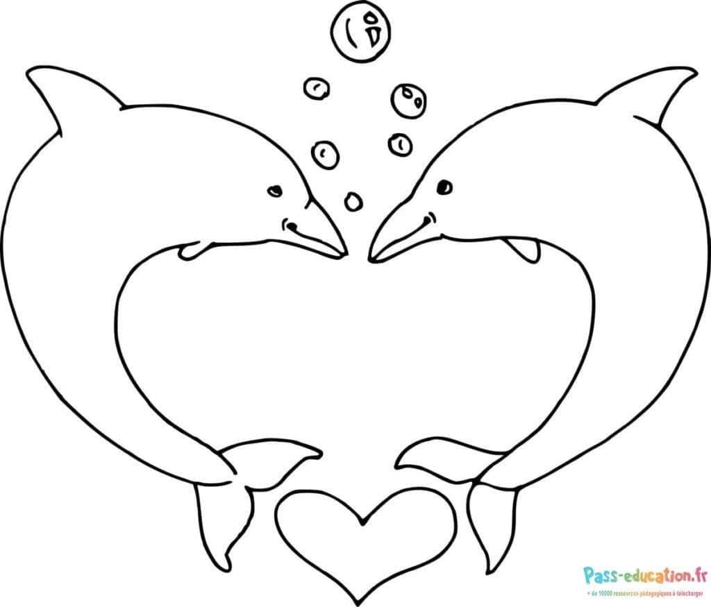 Coloriage Deux dauphins amoureux à imprimer et colorier