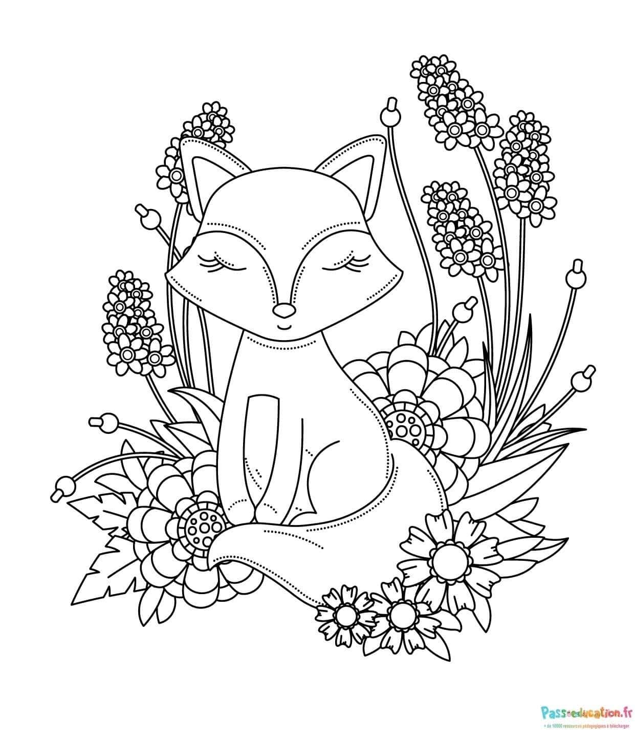 Coloriage Renard zen à imprimer et colorier