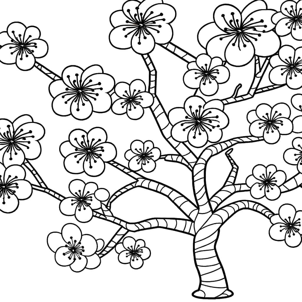 Coloriage Cerisier du Japon à imprimer et colorier