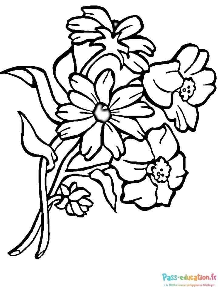Coloriage Bouquet de fleurs à imprimer et colorier