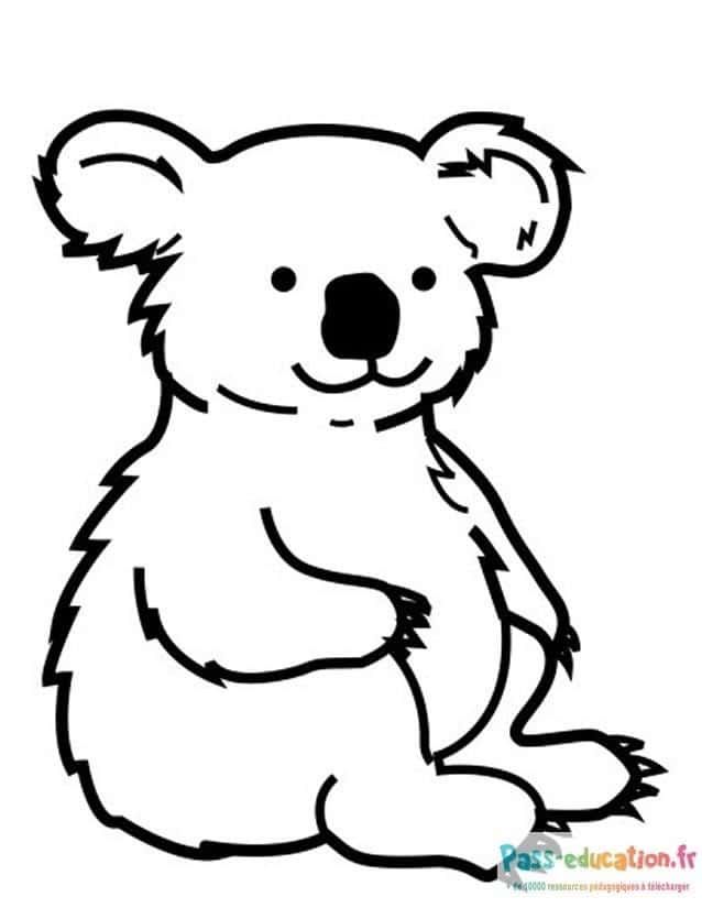 Coloriage Koala souriant à imprimer et colorier
