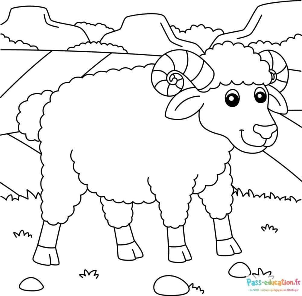 Coloriage Mouton dans la prairie à imprimer et colorier