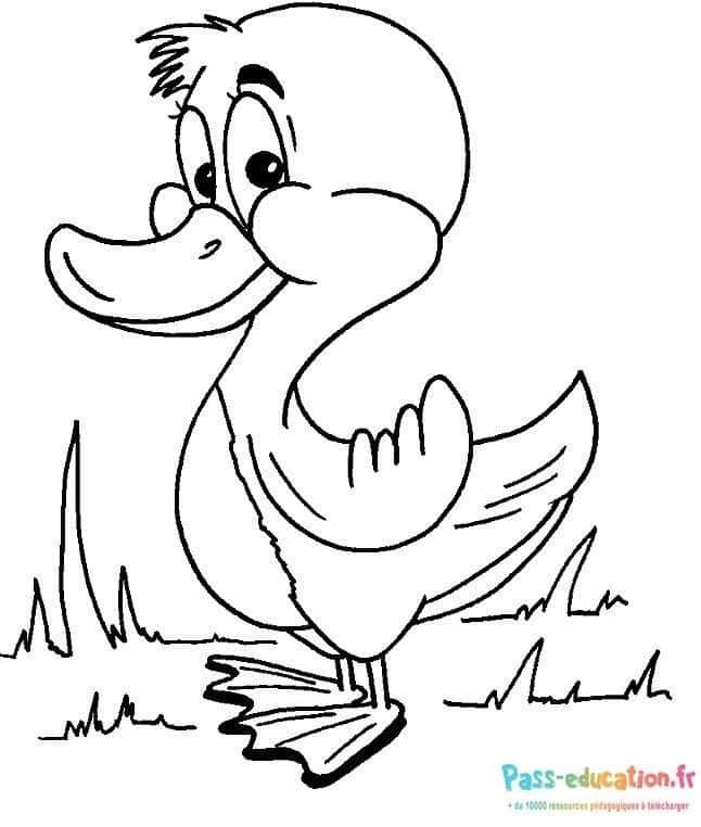 Coloriage Canard souriant à imprimer et colorier