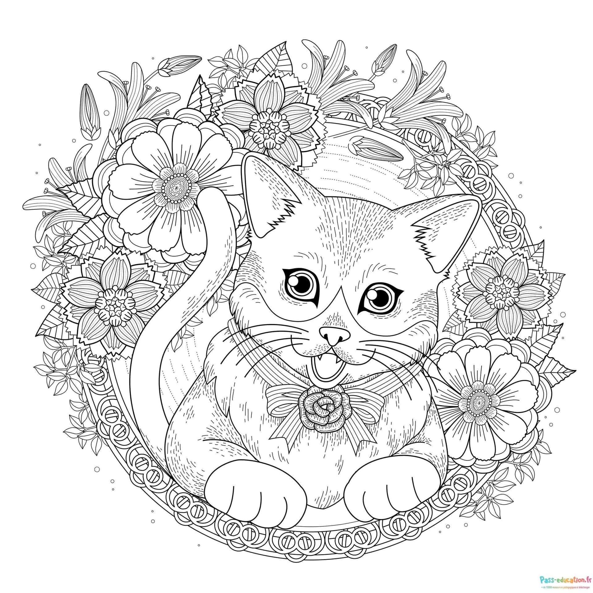 Coloriage Chat en fleurs à imprimer et colorier