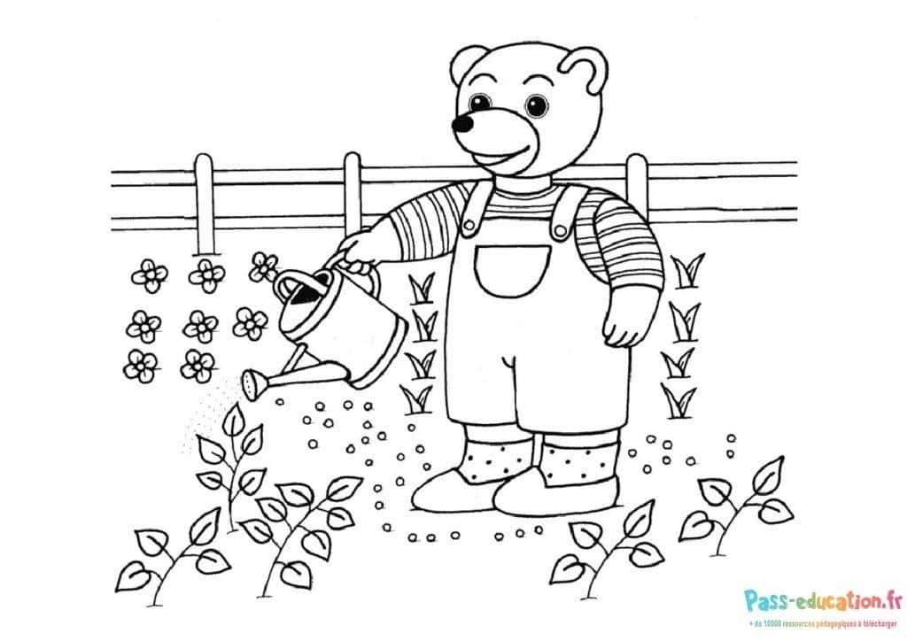 Coloriage Ours Jardinier à imprimer et colorier