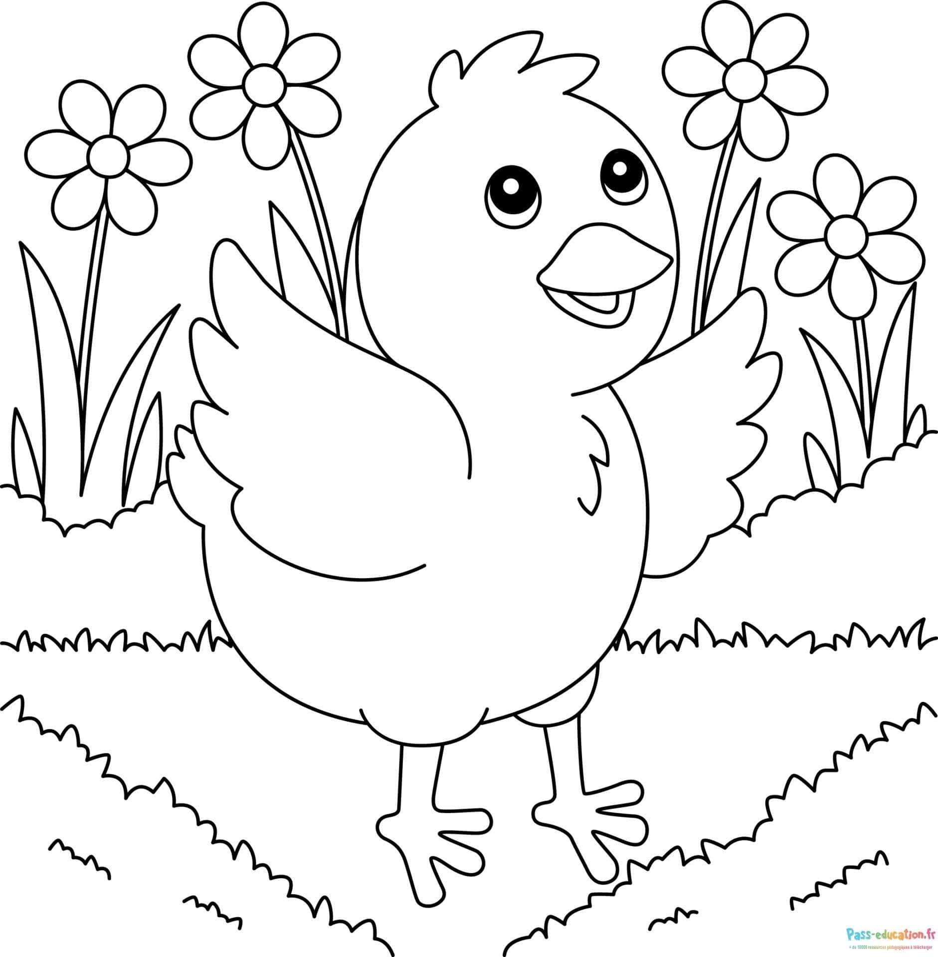 Coloriage Poussin joyeux à imprimer et colorier