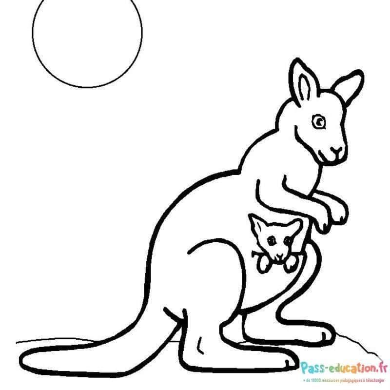 Coloriage Kangourou et son petit à imprimer et colorier