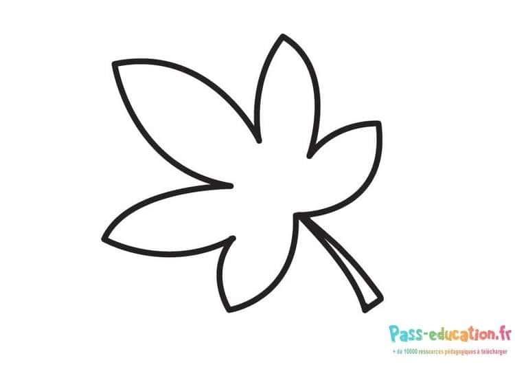 Coloriage Feuille simple à imprimer et colorier