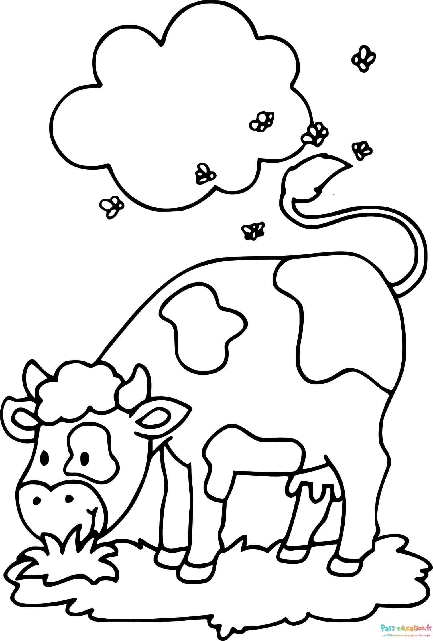Coloriage Vache à colorier à imprimer et colorier