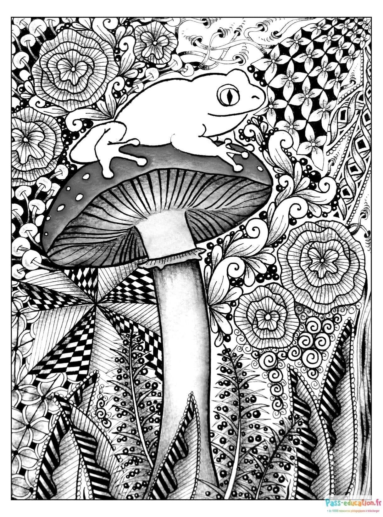 Coloriage Grenouille sur champignon à imprimer et colorier