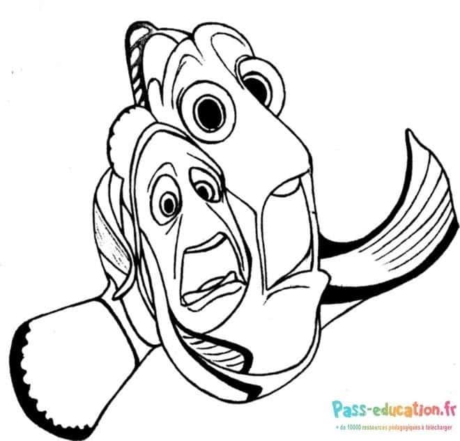 Coloriage Nemo et Marlin à imprimer et colorier
