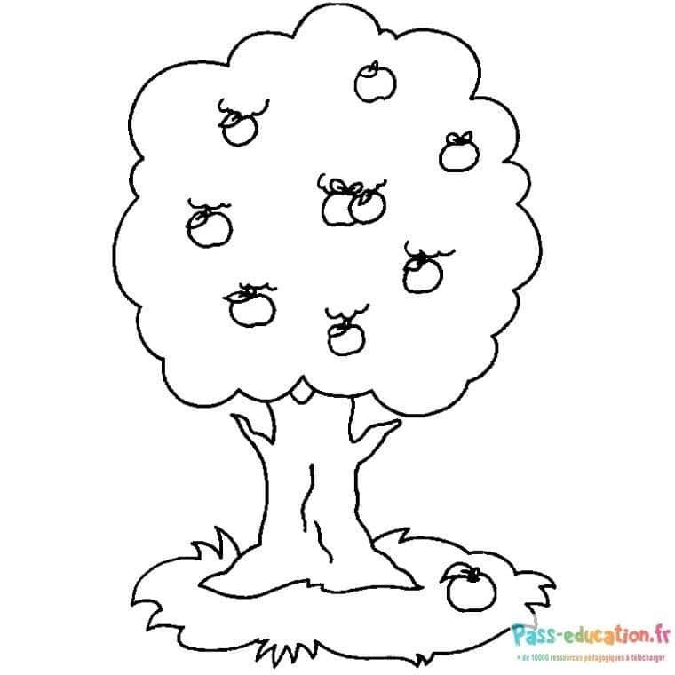 Coloriage Arbre fruitier à imprimer et colorier